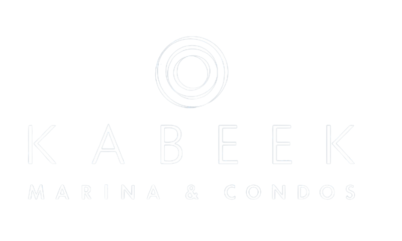 logo blanco800x480